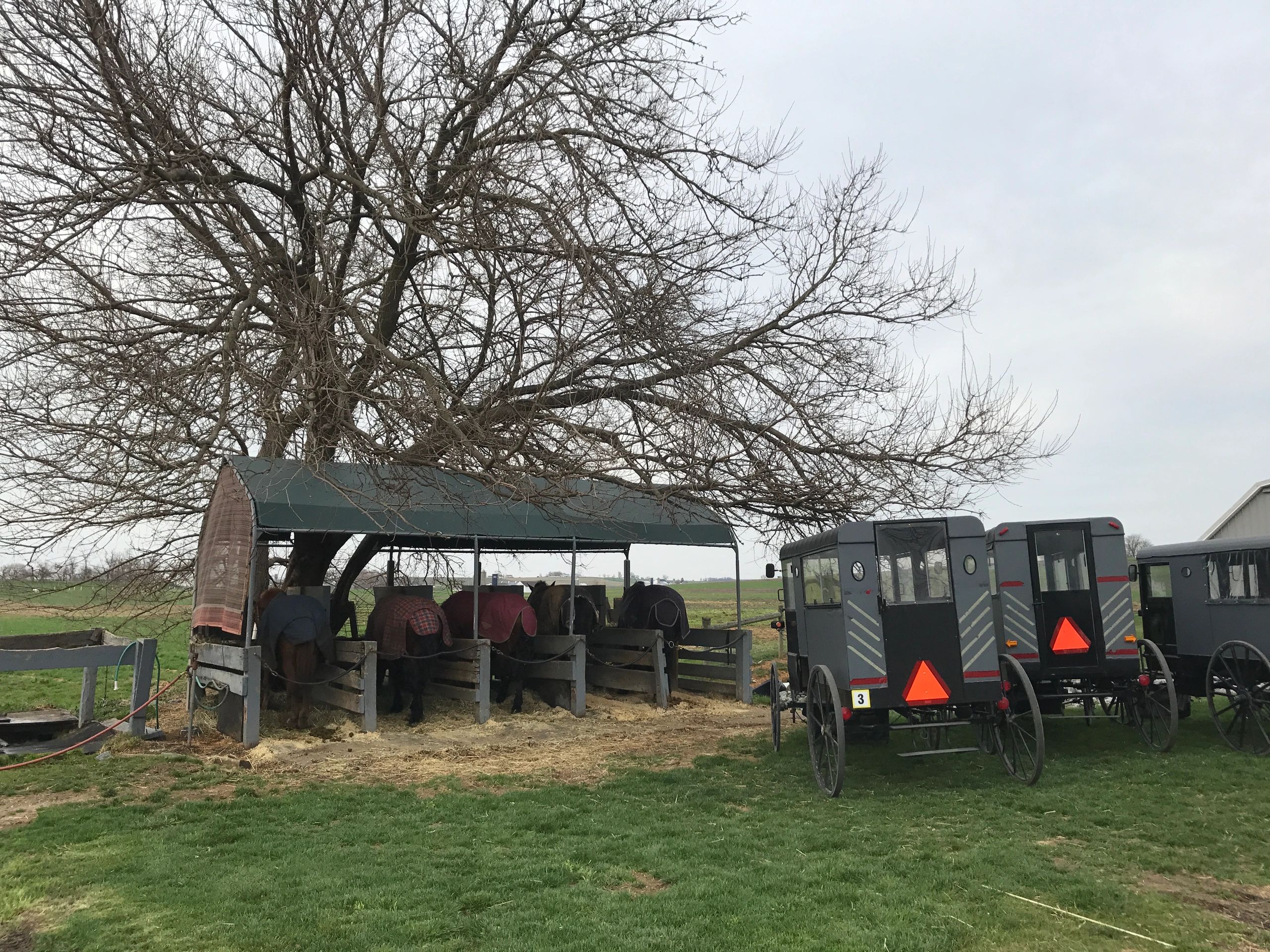 Amish Country Tour