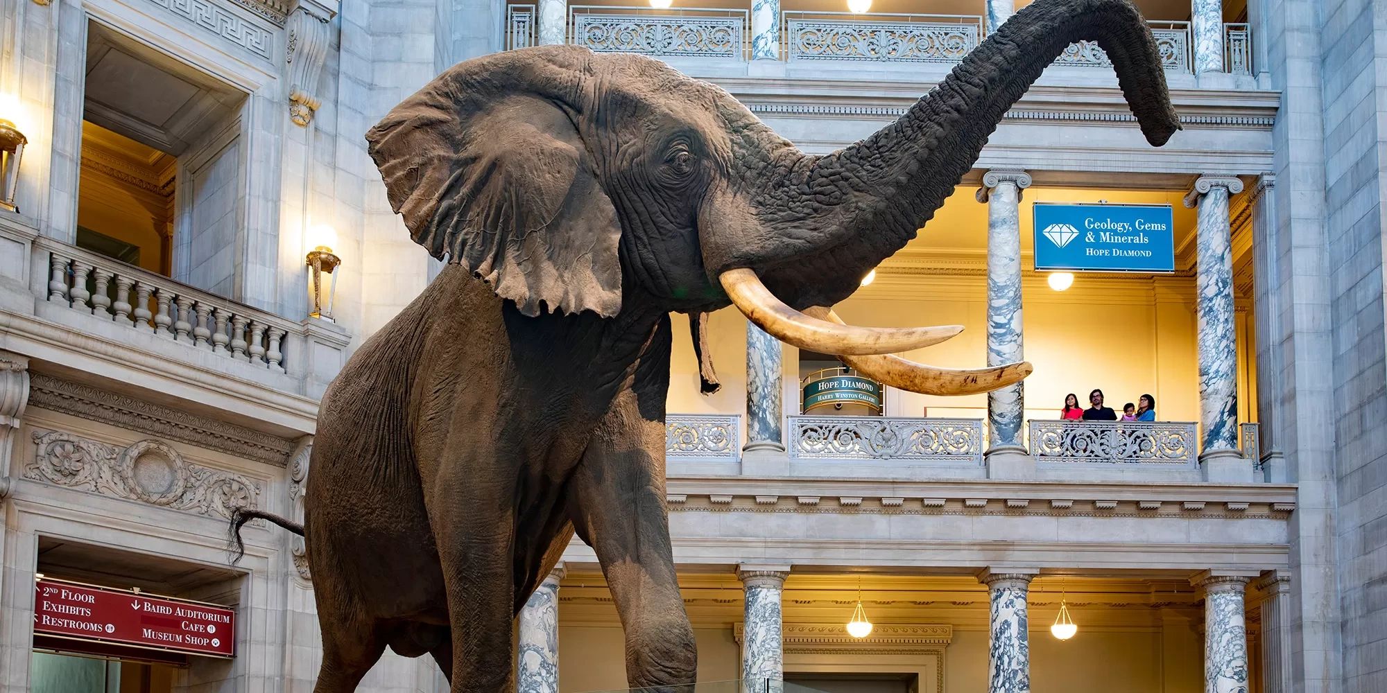 Smithsonian Museum of Natural History